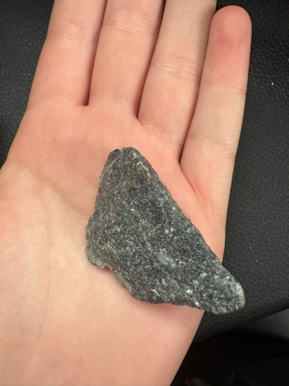 Dark Gray Handheld Rock Specimen